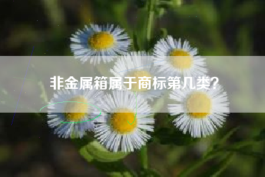 非金属箱属于商标第几类？