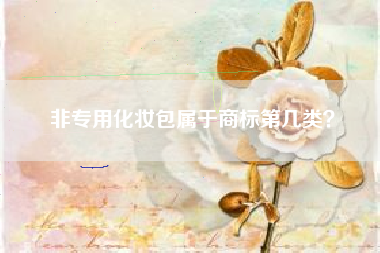 非专用化妆包属于商标第几类？