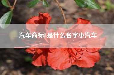 汽车商标L是什么名字小汽车