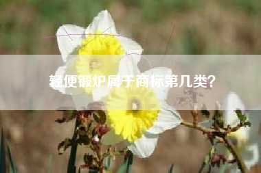 轻便锻炉属于商标第几类？