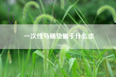 一次性马桶垫属于什么类