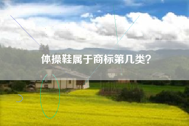 体操鞋属于商标第几类？