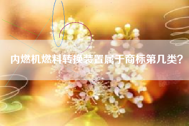 内燃机燃料转换装置属于商标第几类？