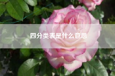 四分类表是什么意思