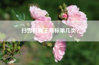 扫雪机属于商标第几类？