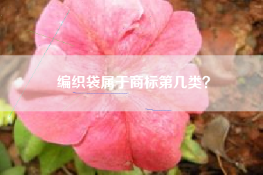 编织袋属于商标第几类？