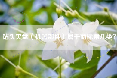 钻头夹盘（机器部件）属于商标第几类？