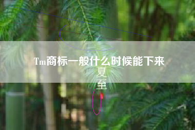 Tm商标一般什么时候能下来
