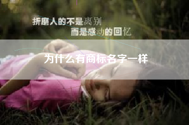 为什么有商标名字一样