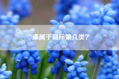 漆属于商标第几类？