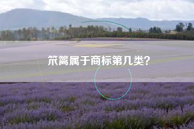 笊篱属于商标第几类？