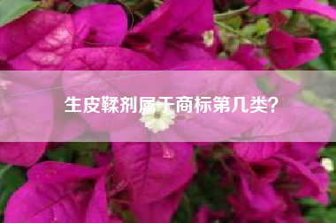 生皮鞣剂属于商标第几类？