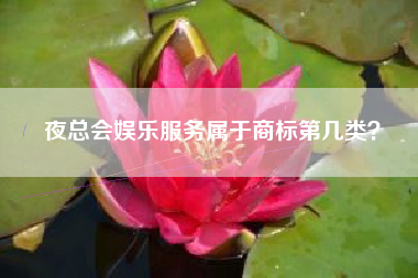 夜总会娱乐服务属于商标第几类？