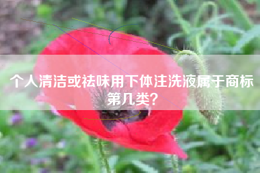 个人清洁或祛味用下体注洗液属于商标第几类？