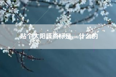 贴个太阳膜商标是you什么的