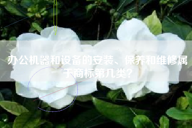 办公机器和设备的安装、保养和维修属于商标第几类？