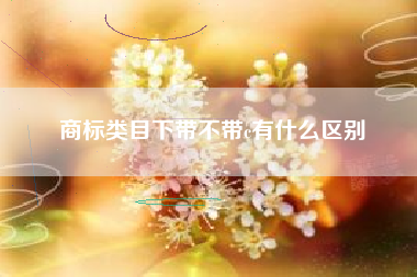 商标类目下带不带c有什么区别