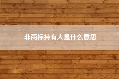 非商标持有人是什么意思