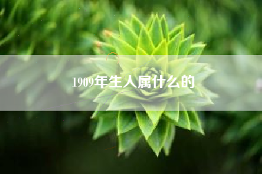 1909年生人属什么的
