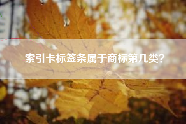 索引卡标签条属于商标第几类？