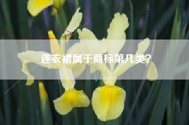 连衣裙属于商标第几类？