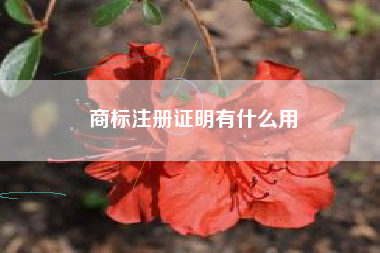 商标注册证明有什么用