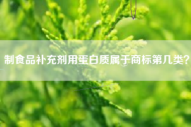 制食品补充剂用蛋白质属于商标第几类？