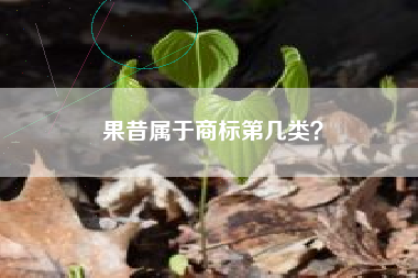 果昔属于商标第几类？