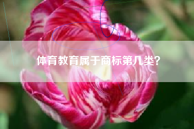 体育教育属于商标第几类？