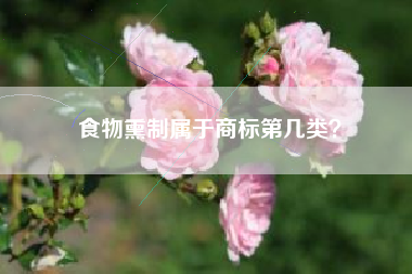 食物熏制属于商标第几类？