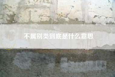 不属别类到底是什么意思