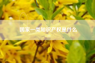 国家一类知识产权是什么