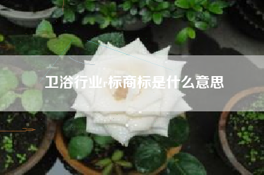 卫浴行业r标商标是什么意思