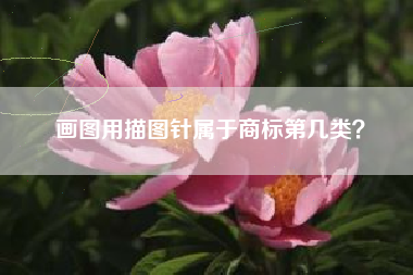 画图用描图针属于商标第几类？