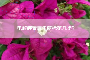 电解装置属于商标第几类？