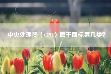 中央处理器（CPU）属于商标第几类？