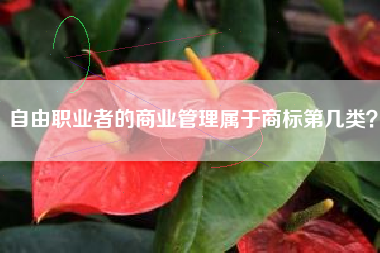 自由职业者的商业管理属于商标第几类？