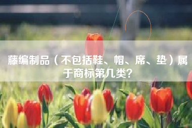 藤编制品（不包括鞋、帽、席、垫）属于商标第几类？