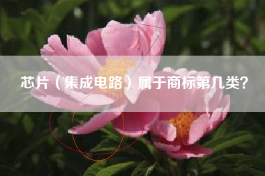 芯片（集成电路）属于商标第几类？