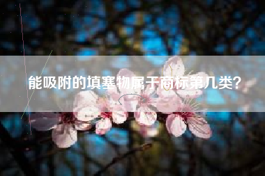 能吸附的填塞物属于商标第几类？