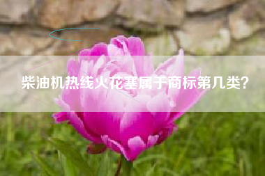 柴油机热线火花塞属于商标第几类？