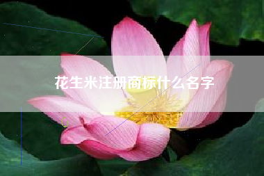 花生米注册商标什么名字