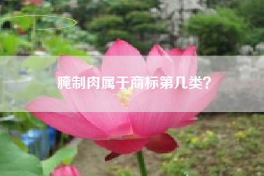 腌制肉属于商标第几类？