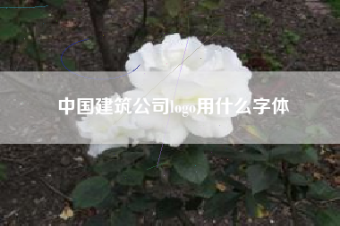 中国建筑公司logo用什么字体