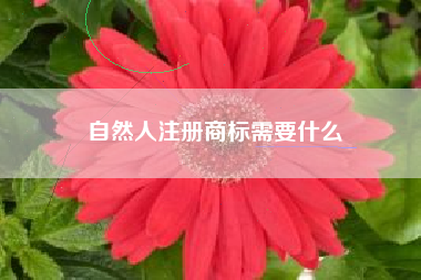 自然人注册商标需要什么