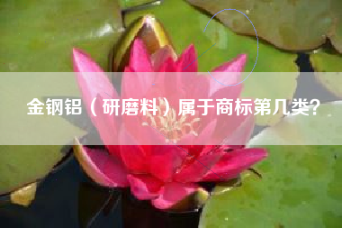 金钢铝（研磨料）属于商标第几类？
