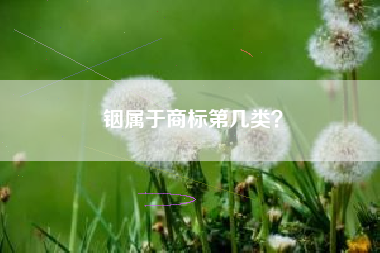 铟属于商标第几类？