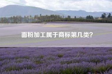 面粉加工属于商标第几类？