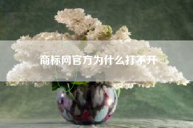 商标网官方为什么打不开