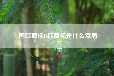 国际商标R标商标是什么意思
